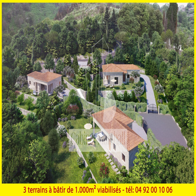 Offres de vente Terrain Canale-di-Verde (20230)